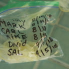 Ella Knox in 'Don't Cum Inside Me'